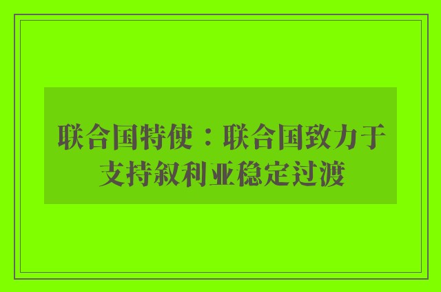 联合国特使：联合国致力于支持叙利亚稳定过渡