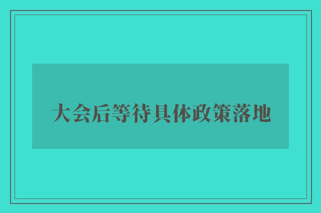 大会后等待具体政策落地